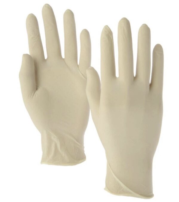 Latex Gloves Powder Free 100pc/Box