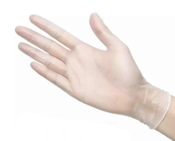 Vinyl Gloves Clear PVC Powder-Free Multifunction Disposable 100pcs/box